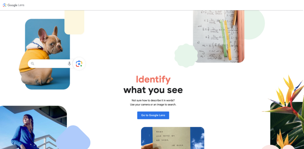 Screenshot of the Google Lens homepage saying Identify what you see